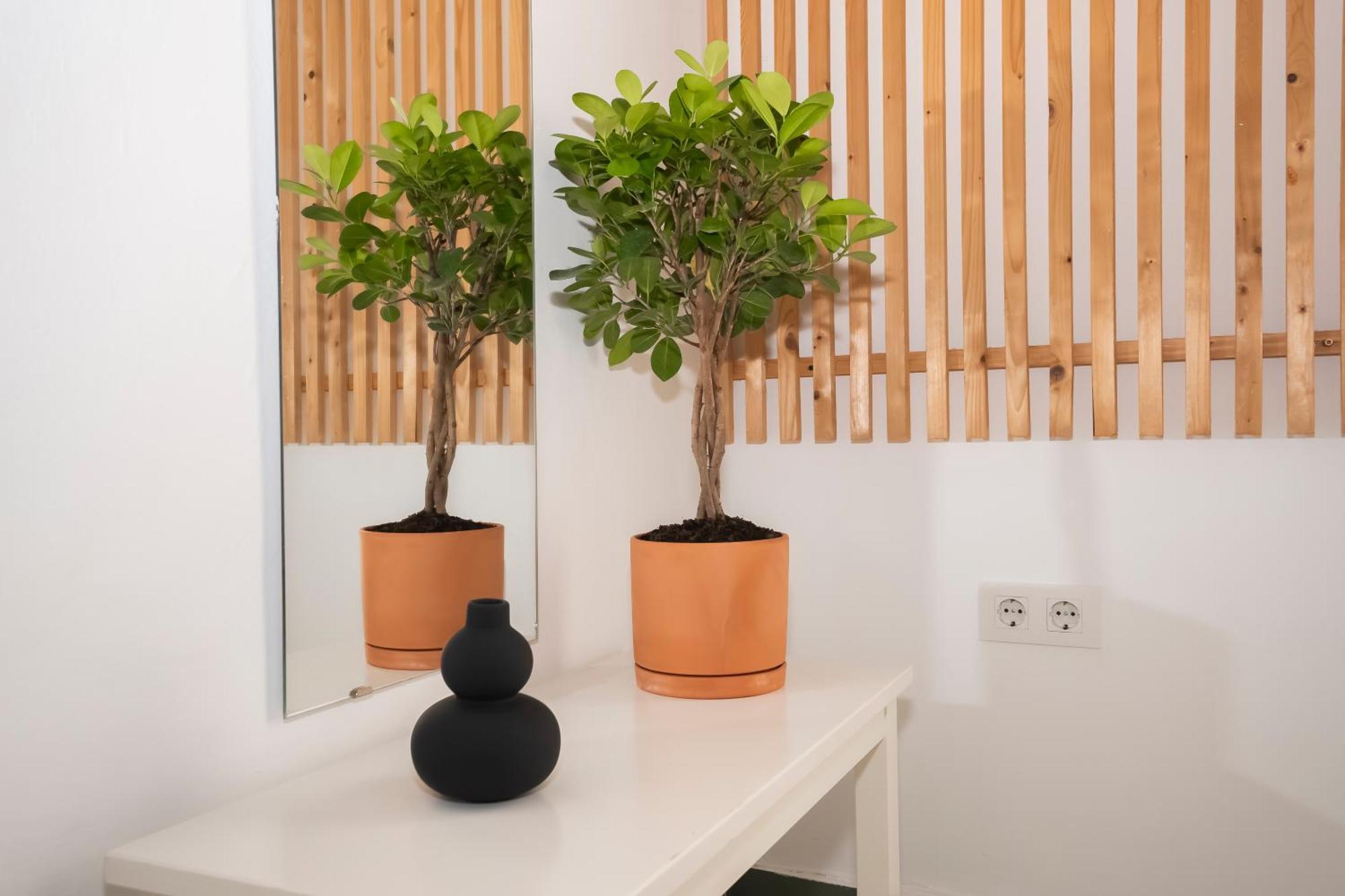 California Apartament Dos De Mayo إشبيلية المظهر الخارجي الصورة